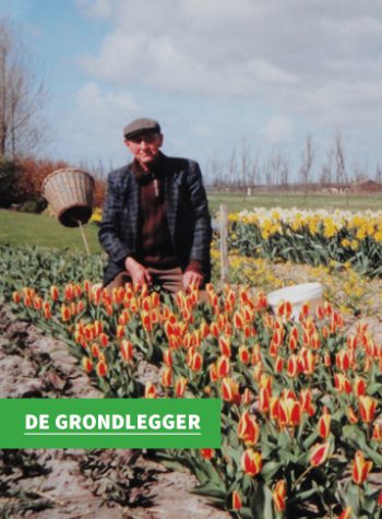 grondlegger-2 grondlegger-2